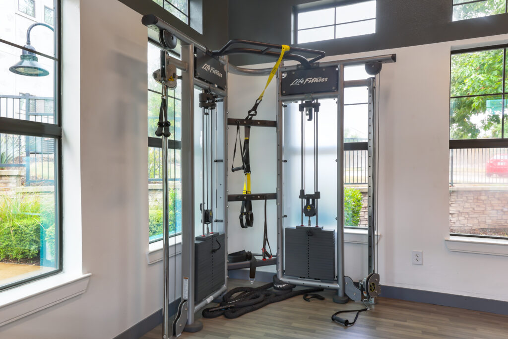 Fitness center with cardio equipment and strength trining machines and free weights